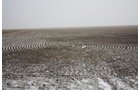 Property photo 19 - Kansas Land Auction - 960 Acres - 7 Farms in 3 Counties